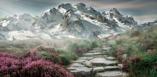 Jakie są najdroższe kamienie?