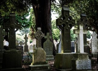 Co zamiast gumy guar?